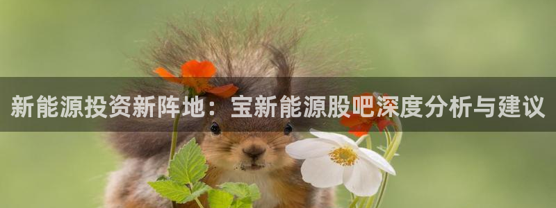 摩根娱乐宝教程