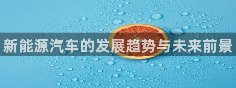 摩根国际娱乐宝在哪里