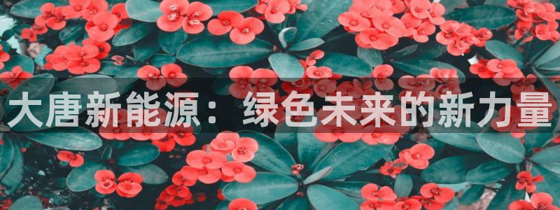 摩根娱乐宝平台