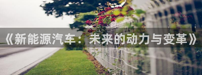 摩根娱乐50186联系