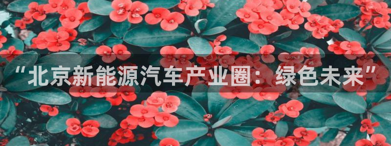 摩根娱乐宝被骗怎么办