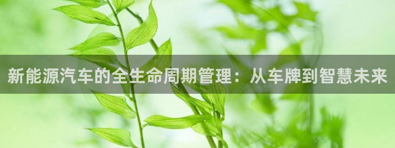 摩根国际娱乐宝官网