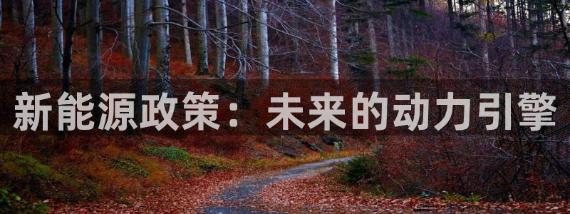 武汉摩根众睿娱乐