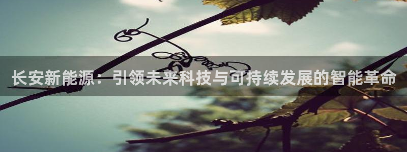 摩根娱乐宝收益怎么样