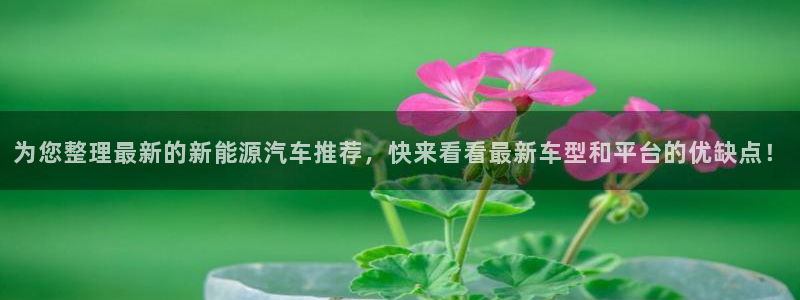 义乌摩根娱乐会所消费：为您整理最新的新能