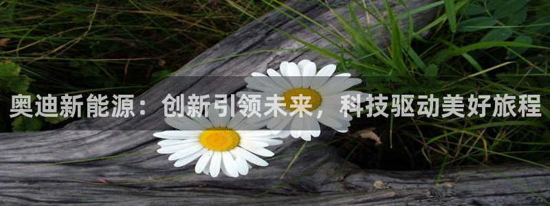 摩根娱乐宝可靠吗：奥迪新能源：创新引领未