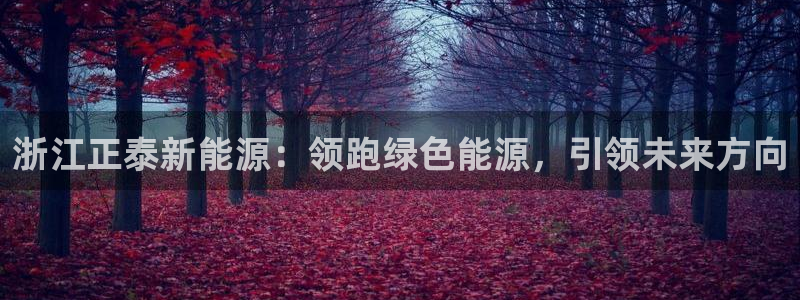 摩根国际娱乐宝在哪里：浙江正泰新能源：领