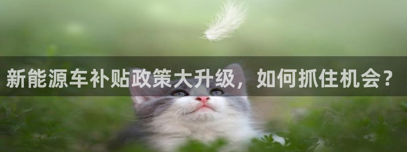 义乌摩根娱乐有限公司