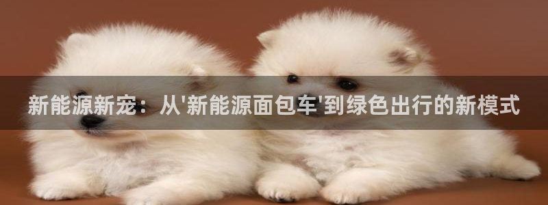 漳州摩根会娱乐