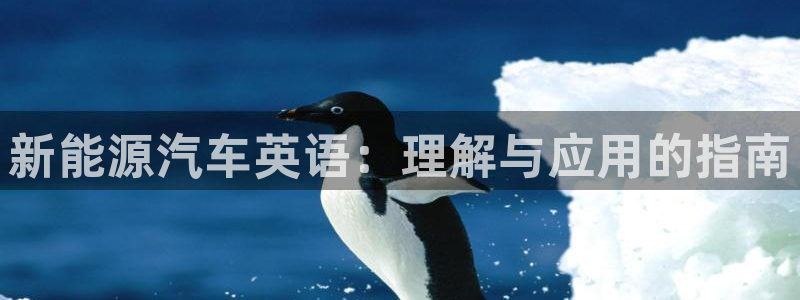 摩根娱乐宝