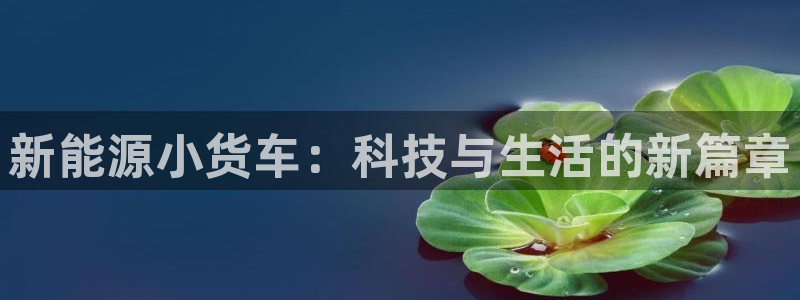 义乌摩根娱乐会所怎么样：新能源小货车：科
