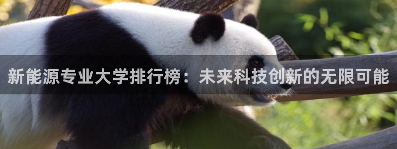 摩根国际娱乐宝：新能源专业大学排行榜：未