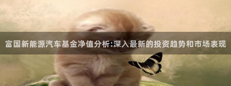 摩根娱乐是什么模式：富国新能源汽车基金净