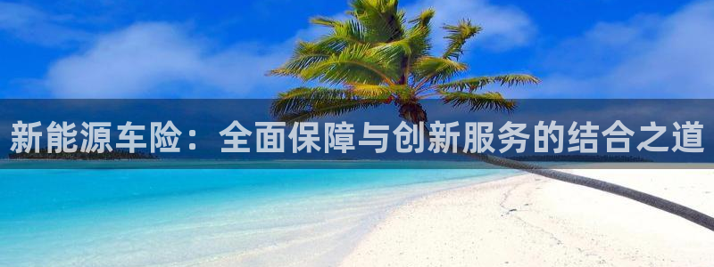 摩根娱乐宝创始人：新能源车险：全面保障与