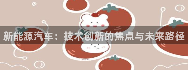 华视娱乐摩根王琛：新能源汽车：技术创新的
