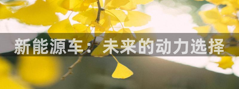 摩根娱乐会所门头