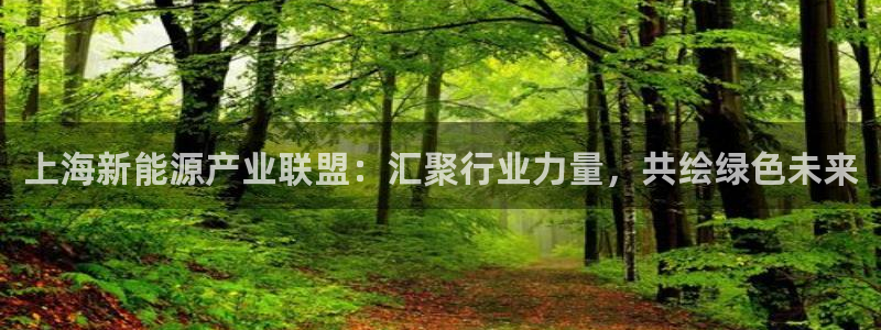 摩根娱乐宝是骗人的的吗：上海新能源产业联