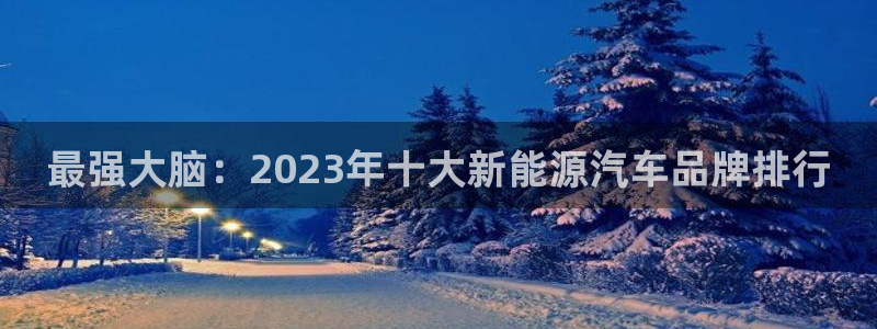 摩根娱乐宝微信客服：最强大脑：2023年
