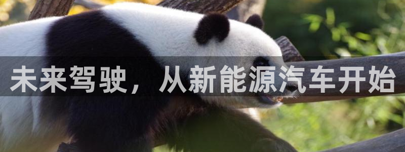 摩根娱乐官网：未来驾驶，从新能源汽车开始