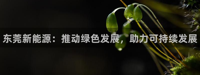 义乌摩根娱乐会所公主：东莞新能源：推动绿