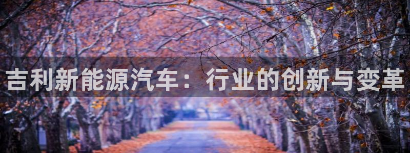 昆明滇池路摩根道娱乐:吉利新能源汽车:行业的创新与变革