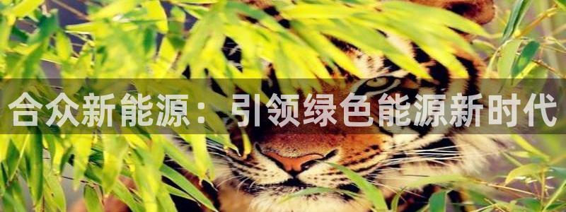 摩根娱乐宝真的假的:合众新能源:引领绿色能源新时代