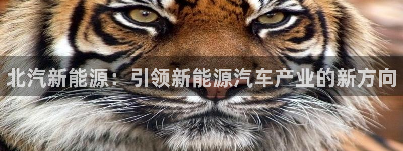 摩根娱乐垫付任务靠谱吗:北汽新能源:引领新能源汽车产业的新方