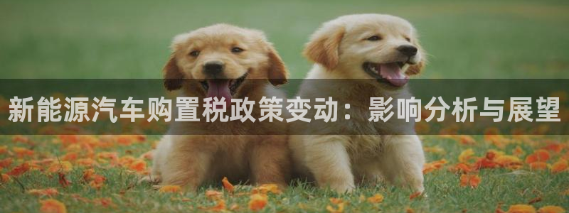 摩根太古互动娱乐中心