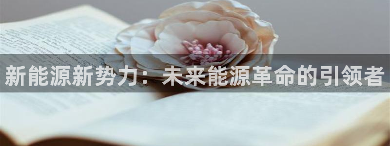 摩根娱乐宝微信客服