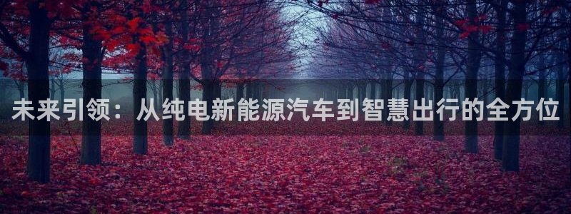 摩根国际娱乐宝合法吗:未来引领:从纯电新能源汽车到智慧出行的