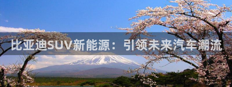 摩根娱乐二三事