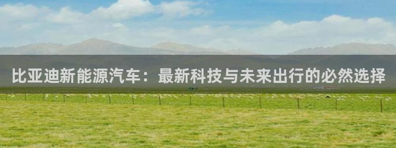 摩根娱乐宝骗了多少人:比亚迪新能源汽车:最新科技与未来出行的