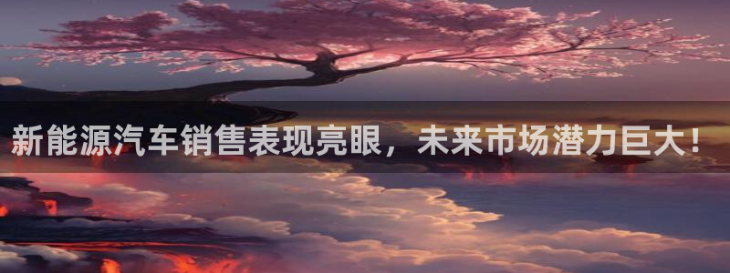 摩根 娱乐宝骗了我:新能源汽车销售表现亮眼,未来市场潜力巨大