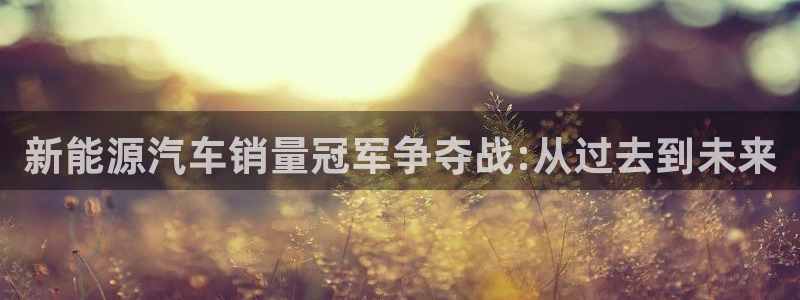 下载摩根国际娱乐宝:新能源汽车销量冠军争夺战:从过去到未来