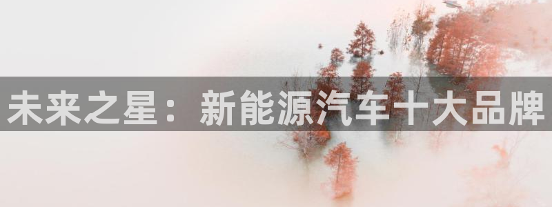 摩根娱乐注册:未来之星:新能源汽车十大品牌