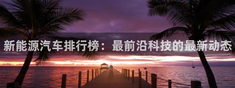 摩根娱乐宝是真的吗:新能源汽车排行榜:最前沿科技的最新动态