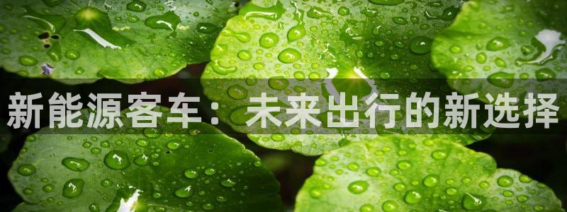 摩根娱乐宝邀请码:新能源客车:未来出行的新选择