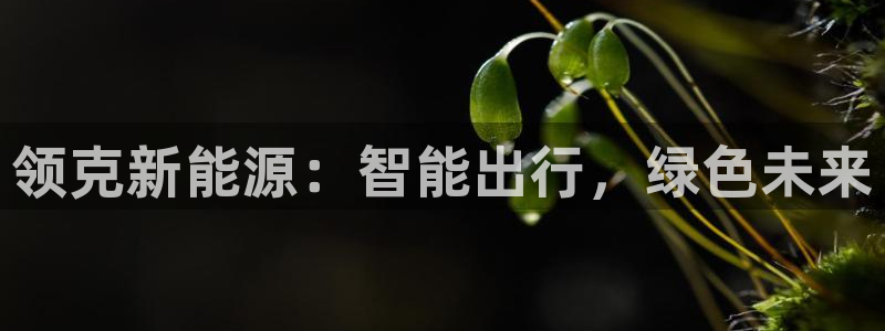 摩根娱乐宝是什么:领克新能源:智能出行,绿色未来