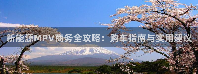 白宫摩根娱乐场所:新能源MPV商务全攻略:购车指南与实用建议