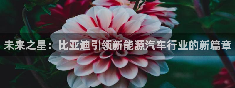 摩根娱乐宝是骗人的的吗:未来之星:比亚迪引领新能源汽车行业的