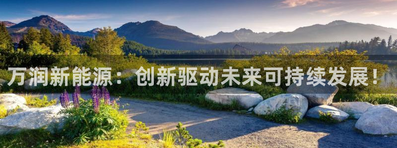 泉州摩根会娱乐场所:万润新能源:创新驱动未来可持续发展!