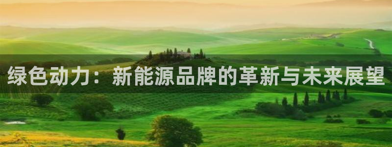 摩根娱乐50186夂:绿色动力:新能源品牌的革新与未来展望