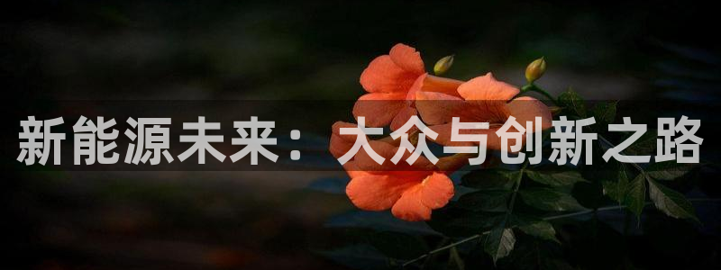 摩根娱乐官网:新能源未来:大众与创新之路