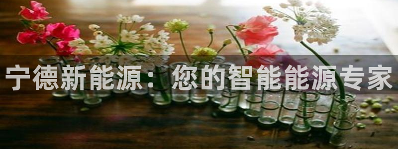 摩根娱乐和摩根国际