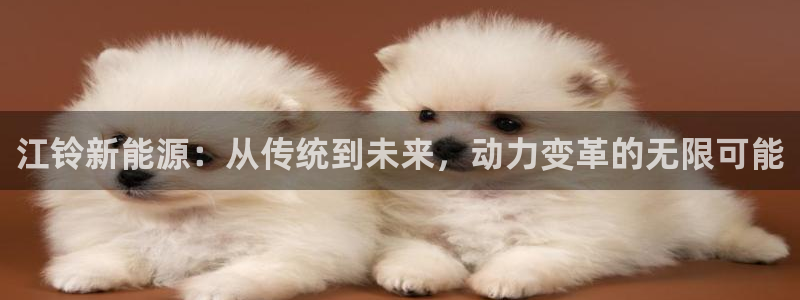 摩根大通黄金娱乐目标价