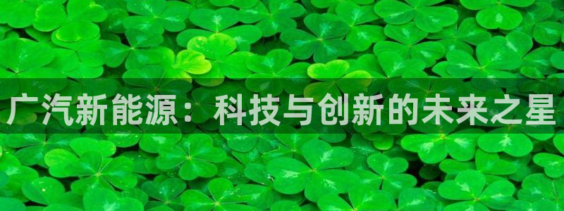 摩根娱乐宝平台下载:广汽新能源:科技与创新的未来之星