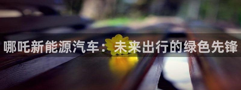 白宫摩根娱乐场所