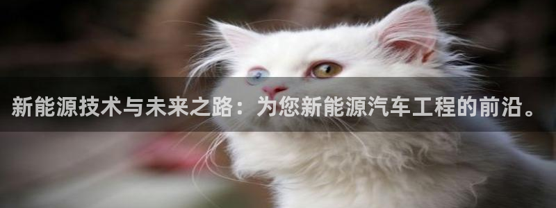 摩根士丹利娱乐:新能源技术与未来之路:为您新能源汽车工程的前
