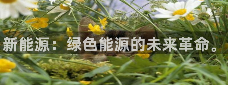 漳州摩根会娱乐：新能源：绿色能源的未来革