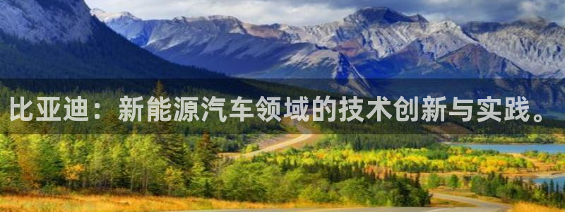 摩根娱乐信益怎么样：比亚迪：新能源汽车领